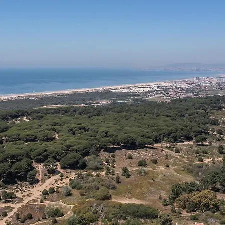 Rosa Brava * Charneca (Setubal)